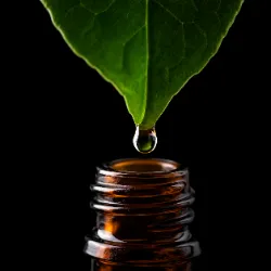 Ayurvedic Oils